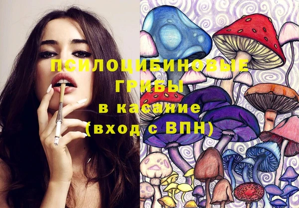 ешки Куйбышев