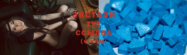 стафф Россошь