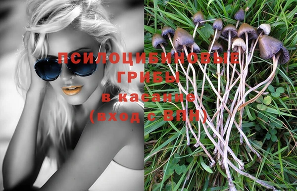 ешки Куйбышев