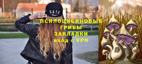 стафф Россошь