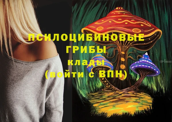 стафф Россошь