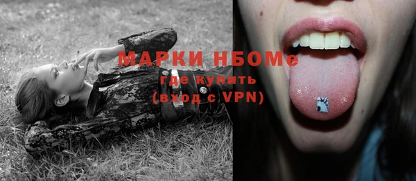 стафф Россошь