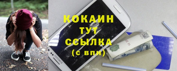 стафф Россошь