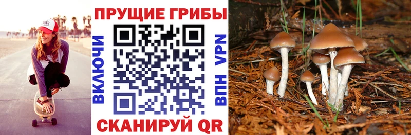 Галлюциногенные грибы ЛСД Ногинск
